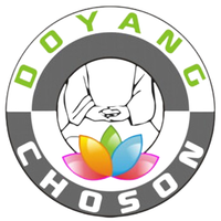 logo-choson